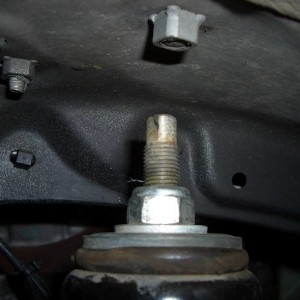 CIMG1305
