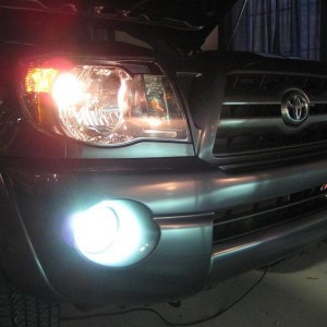 Fogs HID, stock Heads