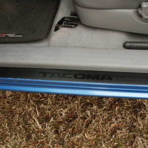 Door sill protectors