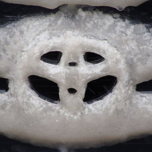 Iced Grill Emblem