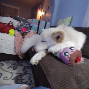 Sweet Dreams