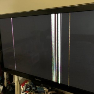 liveFJDSgT.jpg