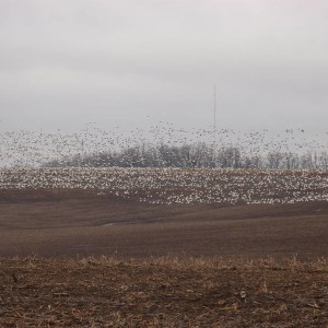 P3070227