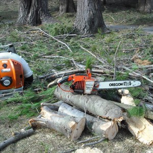 saws_004