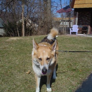 rocky_001