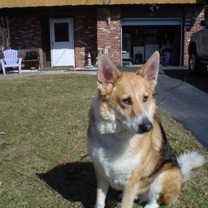 rocky_002