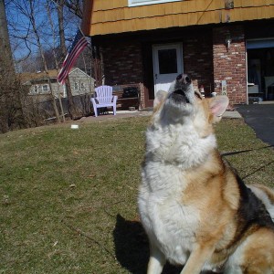 rocky_003