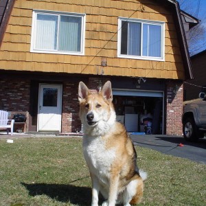 rocky_005