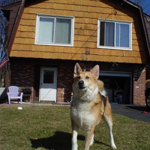 rocky_006