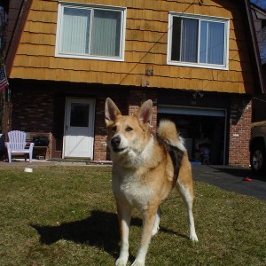 rocky_007