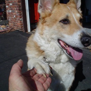 rocky_008