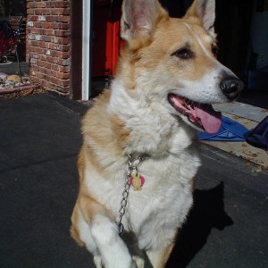 rocky_009