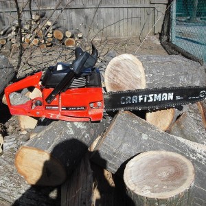 saws_0011