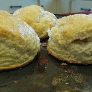 New biscuit vid coming out tonight! Not gonna wanna miss it, new technique and these are the results