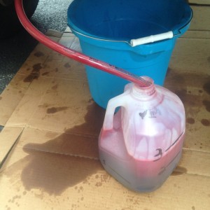 During the transmission flush