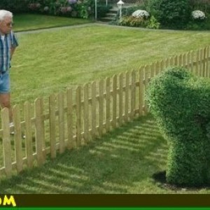 mooning_bush