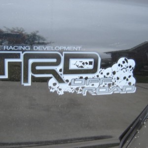 SockMonkey Skull Decals