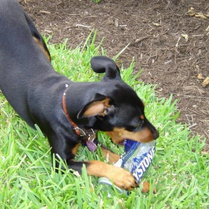 Min Pin Trigger