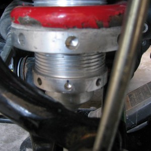 close_up1