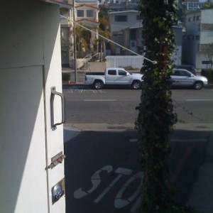 From My Office