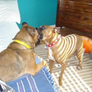 Allie and Jasmine