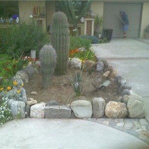 planter in front yard