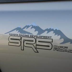 Old_Decal269_2_