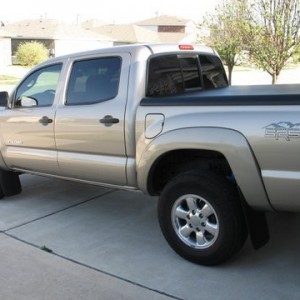 Tacowitholddecal_266