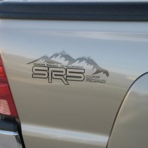 NewDecal