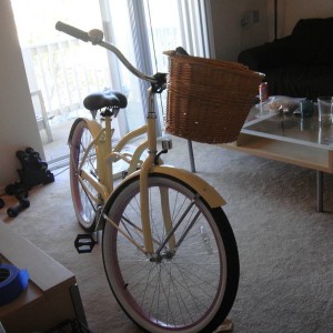 My new project