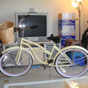 new project