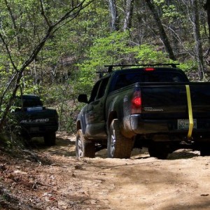 Uwharrie NF on the trail
