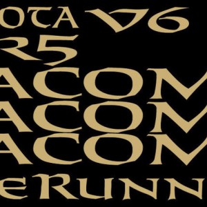 Stock-Badging_NOSaints-Font