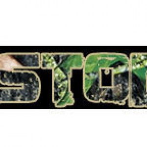camodecal