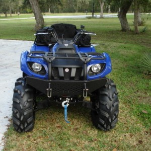 grizzly_016