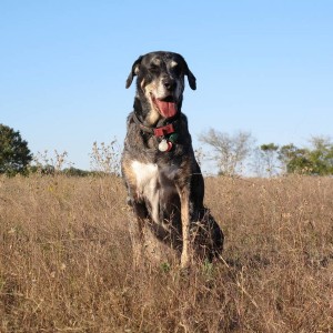 Marley