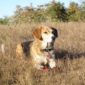 Molly