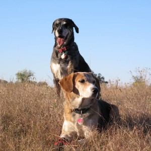 Marley and Molly