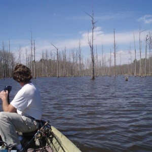 My boy Woodsmen taking us to the back waters