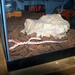 My new buddy!