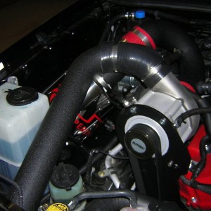 DSCN1318