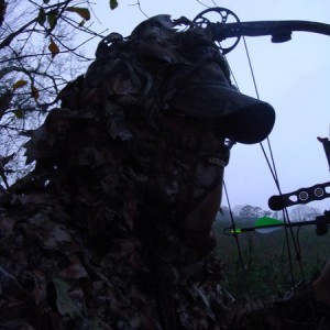 Ghil-Leaf Suit and my Mathews DXT