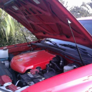 Redline Hood Struts
