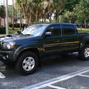 FL pic 4