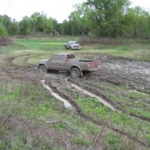 muddy pond