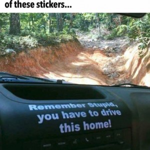 Drive_home