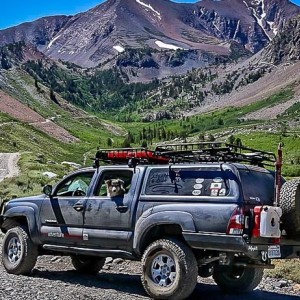 4x44