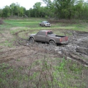 muddy pond