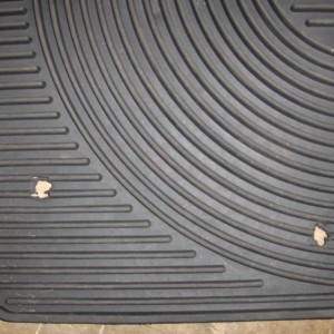 HPIM09831