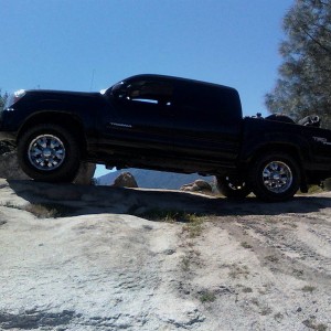 tacoma49